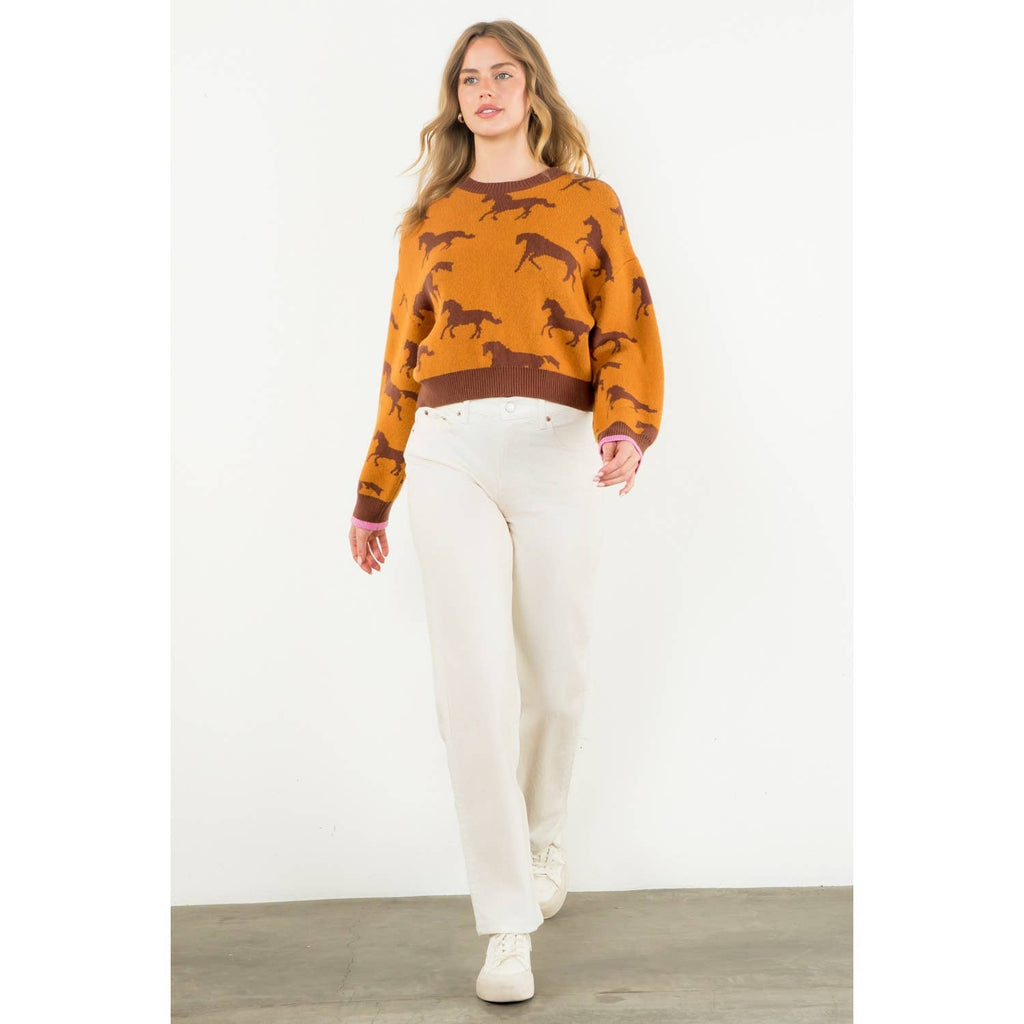 Meet Me In Fort Worth Horse Print Crewneck Knit Sweater