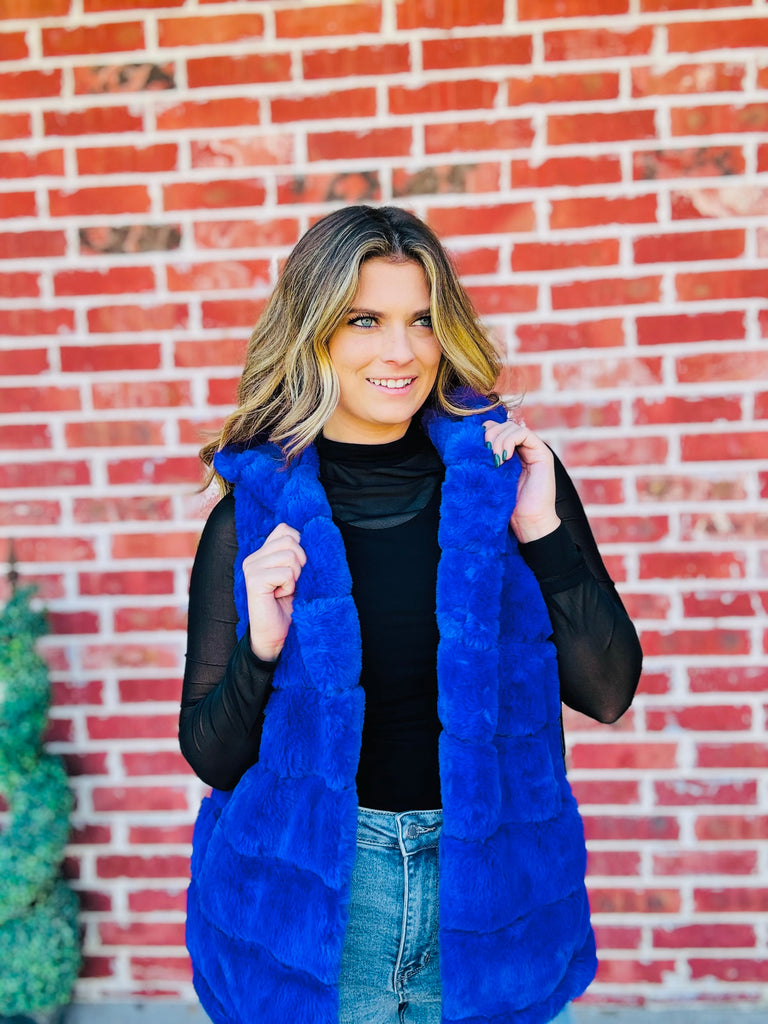 Elegant Purple Fur Sherpa Vest