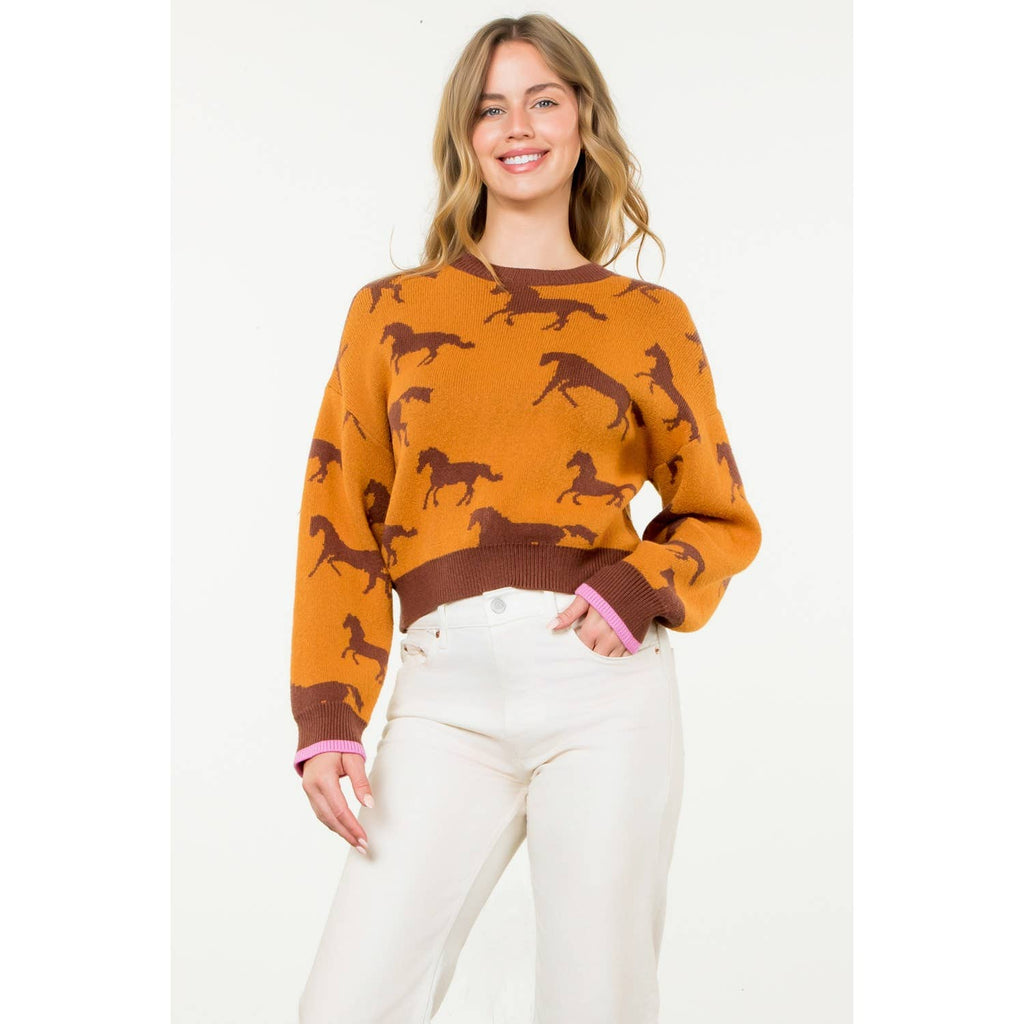 Meet Me In Fort Worth Horse Print Crewneck Knit Sweater