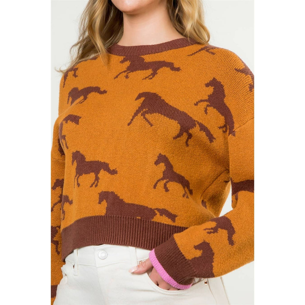 Meet Me In Fort Worth Horse Print Crewneck Knit Sweater