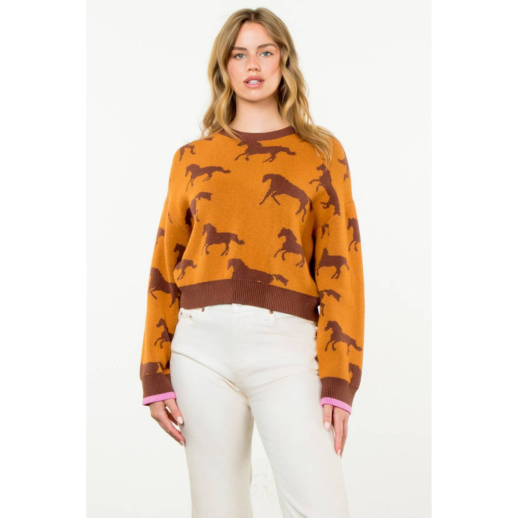 Meet Me In Fort Worth Horse Print Crewneck Knit Sweater