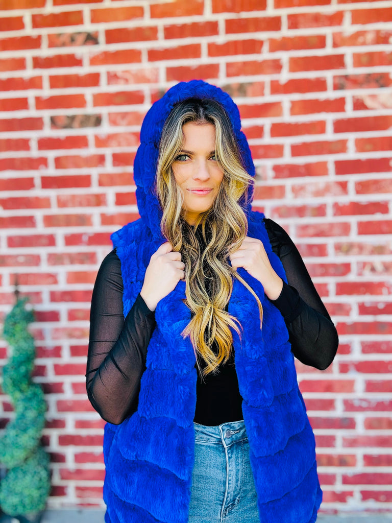 Elegant Purple Fur Sherpa Vest