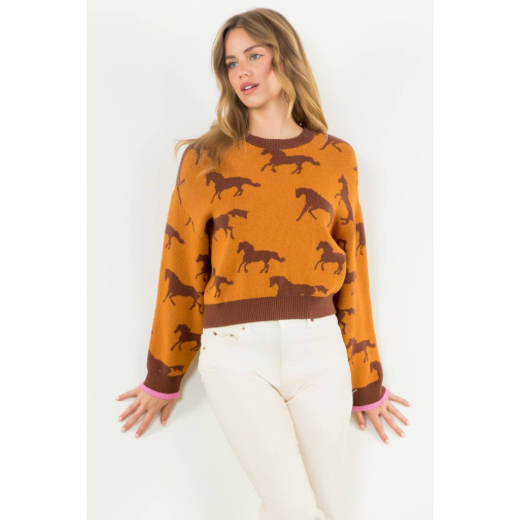 Meet Me In Fort Worth Horse Print Crewneck Knit Sweater