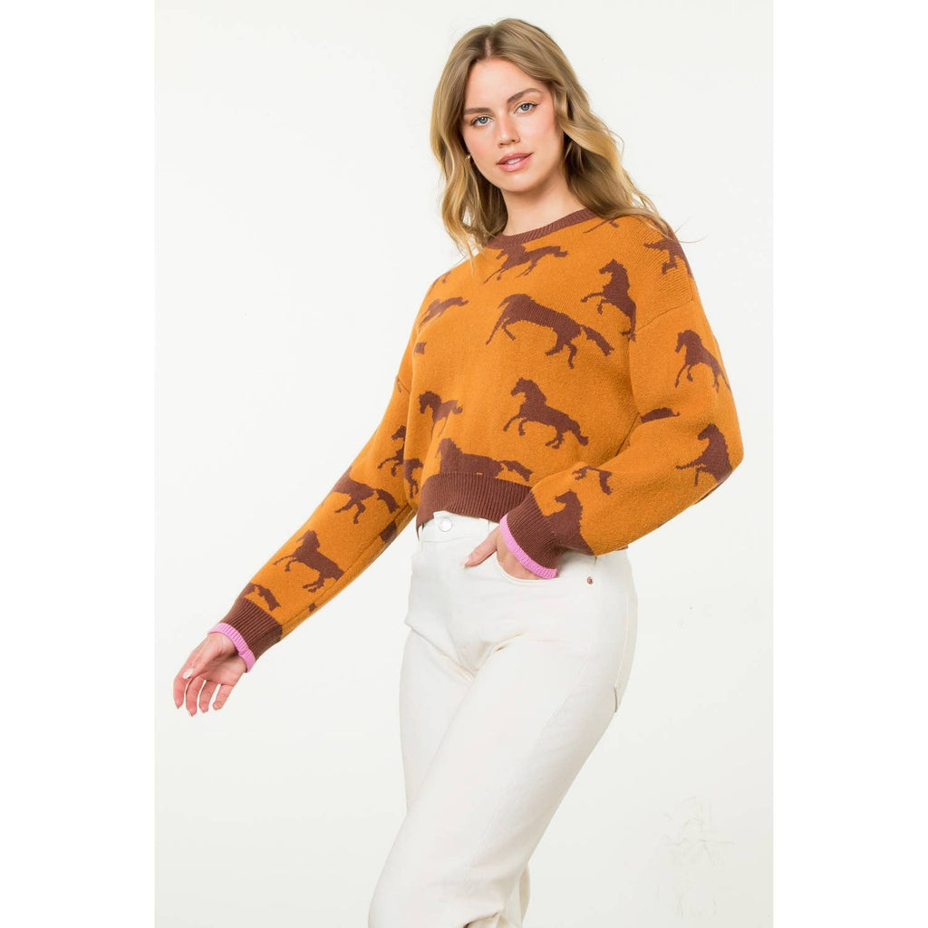 Meet Me In Fort Worth Horse Print Crewneck Knit Sweater