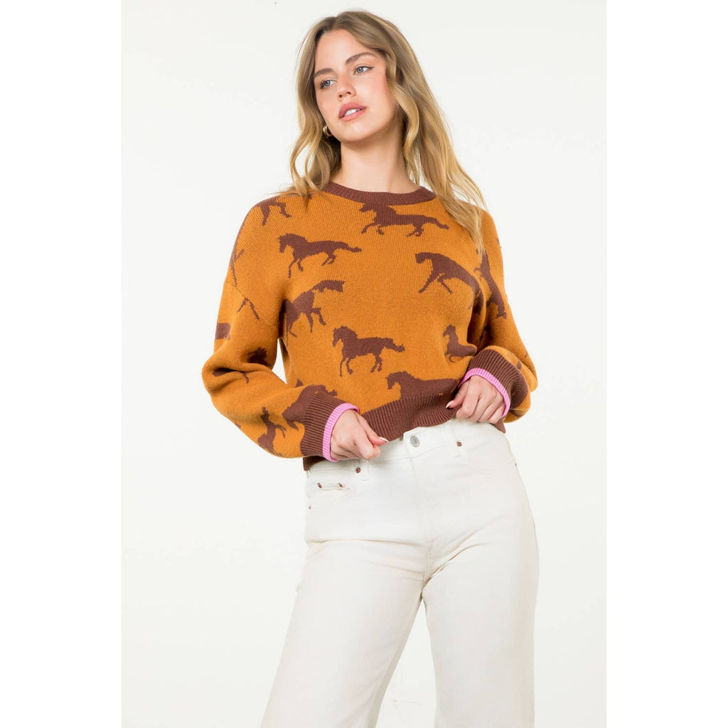 Meet Me In Fort Worth Horse Print Crewneck Knit Sweater