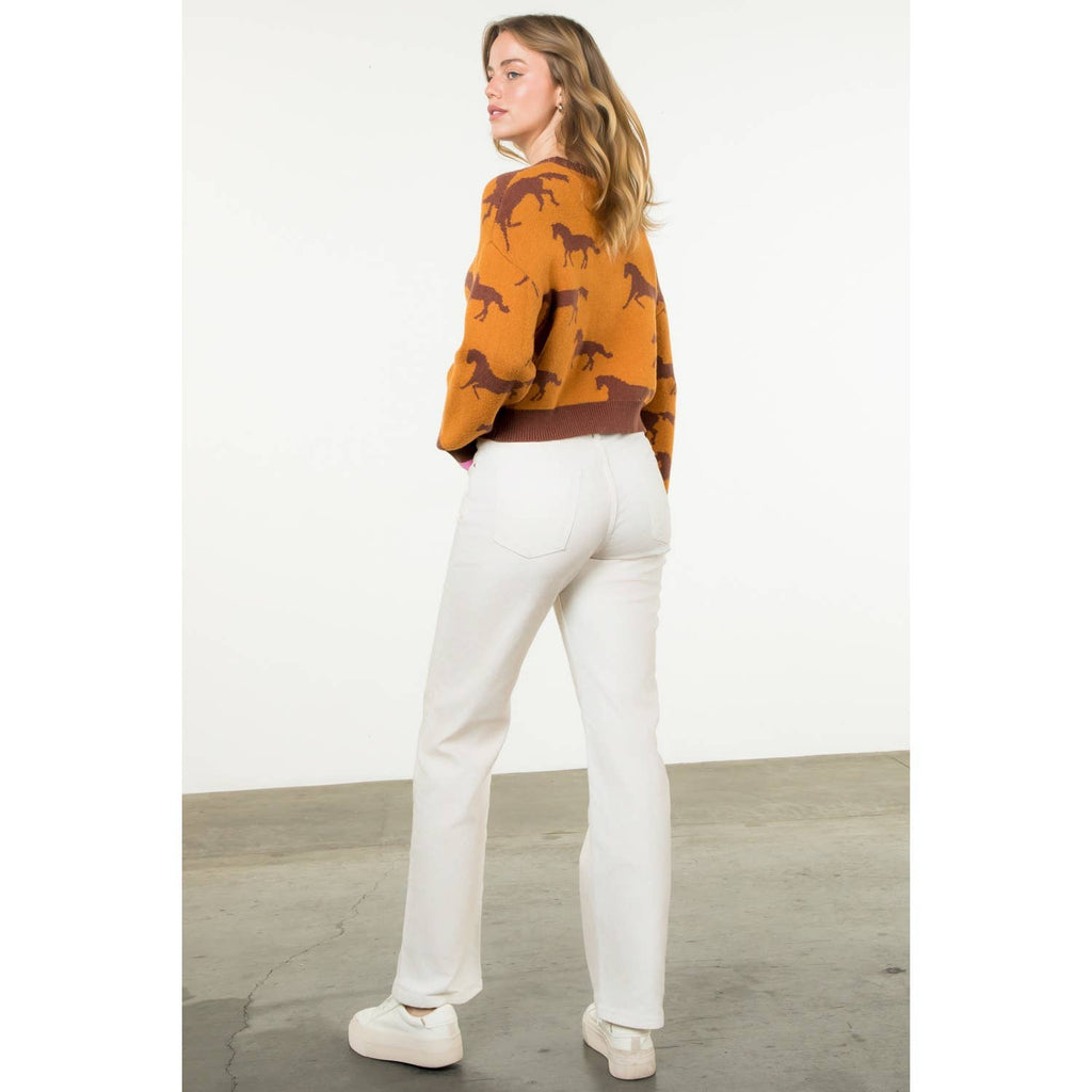 Meet Me In Fort Worth Horse Print Crewneck Knit Sweater