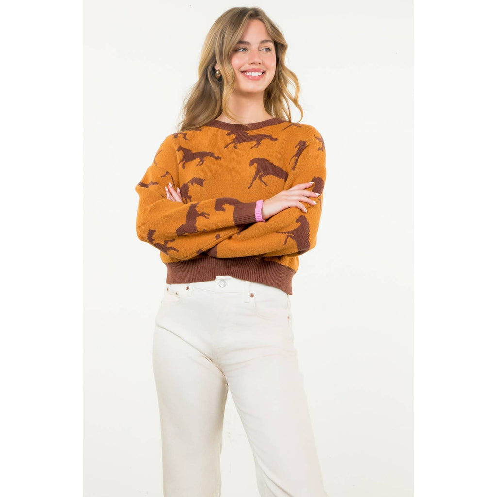 Meet Me In Fort Worth Horse Print Crewneck Knit Sweater