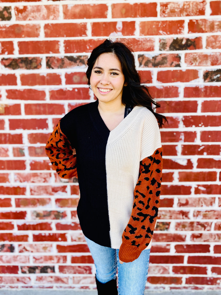 Rusted Beige & Leo Spice Knit Sweater